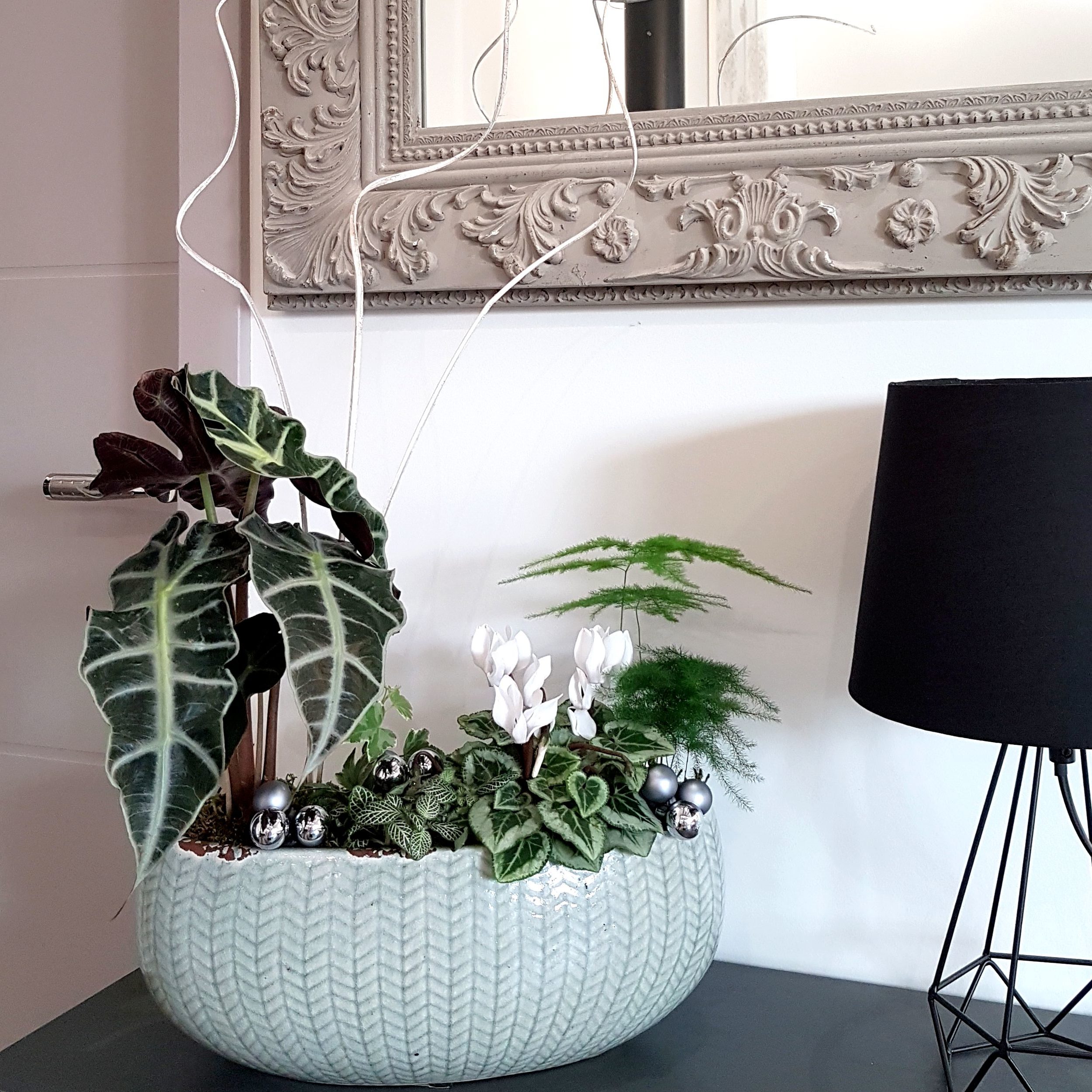 diy-modele-idee-composition-jardiniere-plantes-vertes-icare DIY modèle idée de composition de jardinière de plantes vertes d'intérieur - Orphée