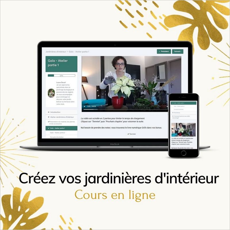 formation-cours-creation-jardinieres-plantes-vertes-interieur Cours et formation création de jardinières de plantes vertes d'intérieur