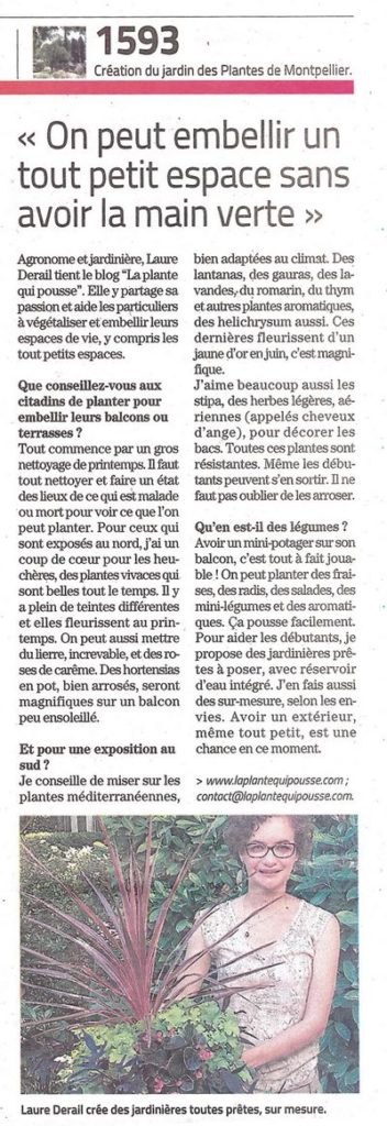 Embellir un tout petit espace avec des plantes, Article La Plante Qui Pousse dans le Midi Libre mars 2021