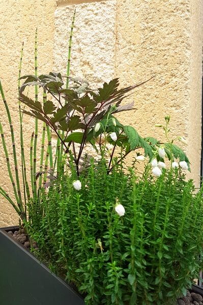 Idée cadeau jardin pas cher pour la fete des peres - PRÊT A JARDINER