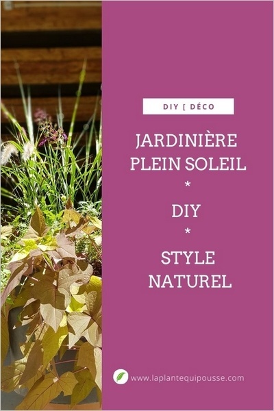 DIY jardinière plein soleil - idée de composition de plantes vivaces et fleurs annuelles