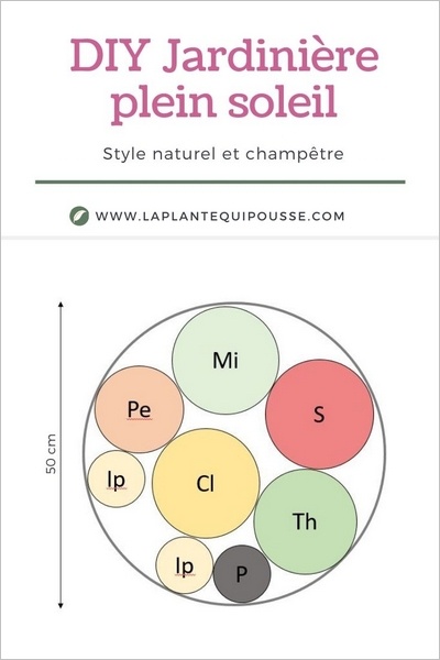 Plan de plantation - idée de jardinière plein soleil à reproduire