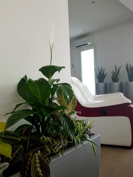 Plantes vertes pour jungle intérieure dans une maison contemporaine.